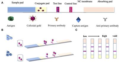 Development of a highly sensitive colloidal gold semiquantitative method for the determination of difenoconazole residues in citrus